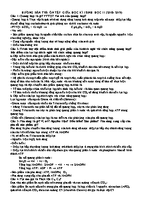 Hướng dẫn ôn tập giữa học kì I môn Sinh học Lớp 11 - Năm học 2018- 2019